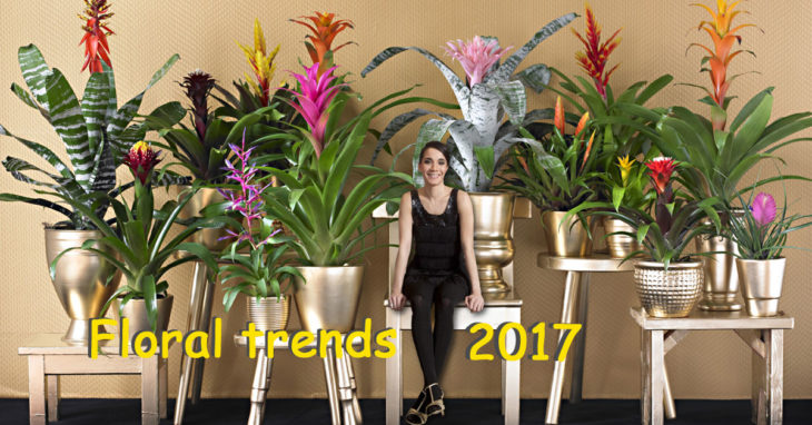 Floral Trends 2017 Arranging flowers and Garden plants