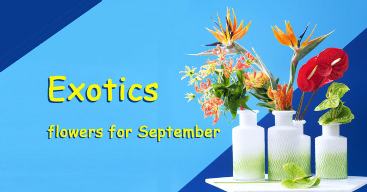 Exotics flowers for September