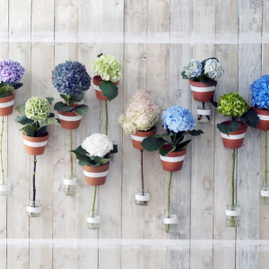 Decorazioni floreali