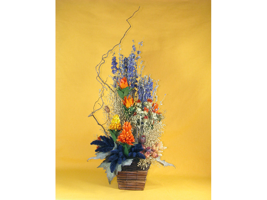 in_vegetazione1