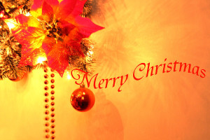 Decorare il Natale con i fiori artificiali Viridea Settimo Torinese (TO)