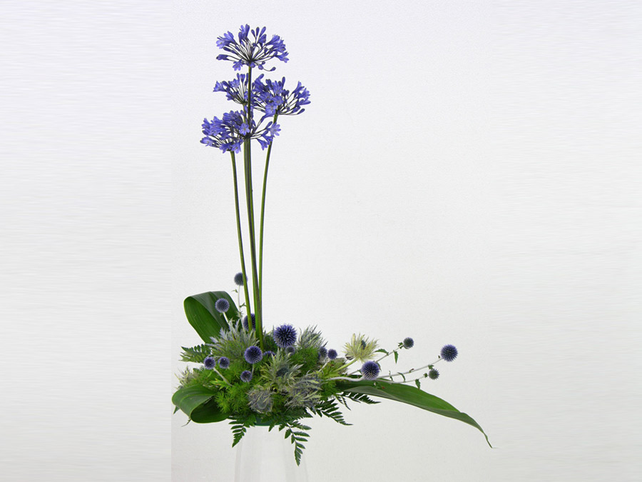 valorizzazione_fiore