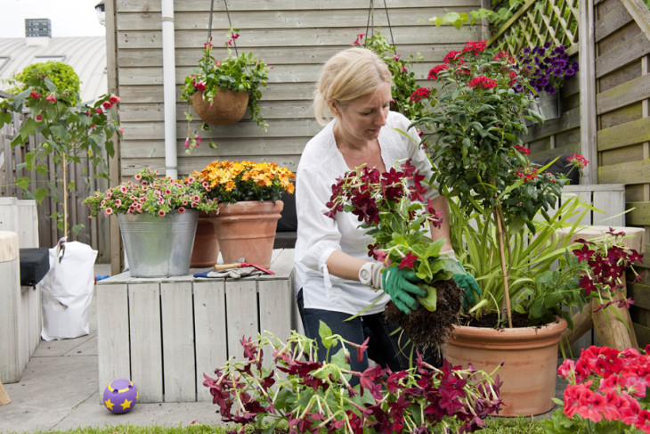 Lavorare con i fiori