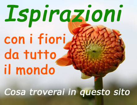 Come comporre fiori Composizioni Floreali Faidate Video