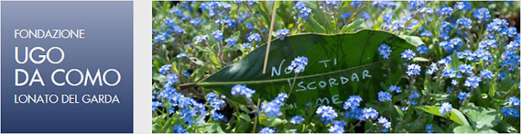 Fiori nella Rocca 2016 Lonato del Garda (Brescia)