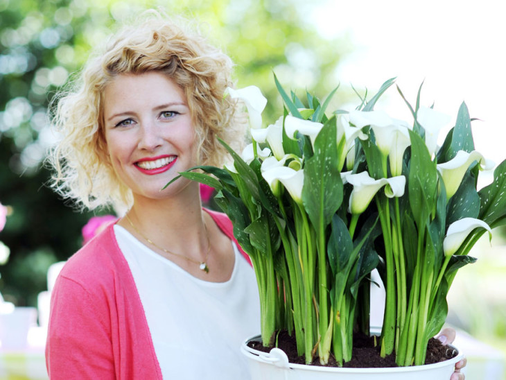 Come diventare fiorista e aprire un negozio di fiori