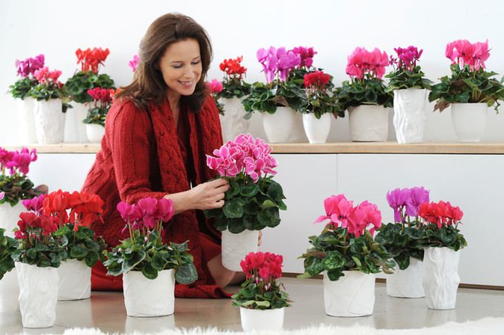 Creare con i fiori: da hobby a professione