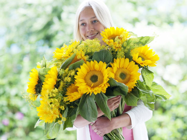 Girasole fiore del mese dal 25 luglio al 14 agosto