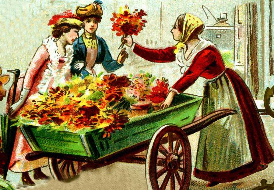 Vendita ambulante di fiori piante bulbi semi e fertilizzanti