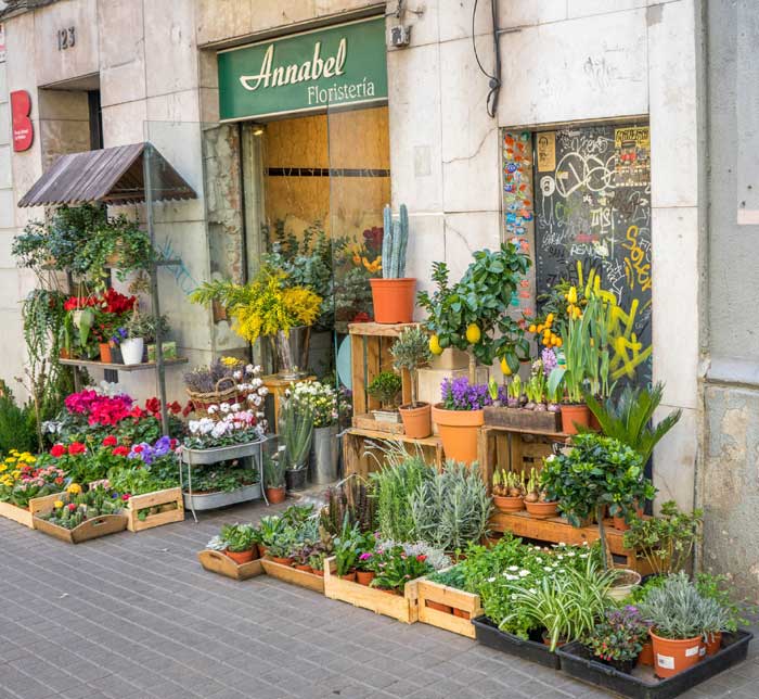 Aprire un negozio di fiori e piante Fioreria