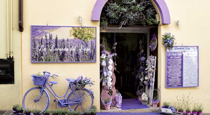 Aprire un negozio di fiori e piante Fioreria