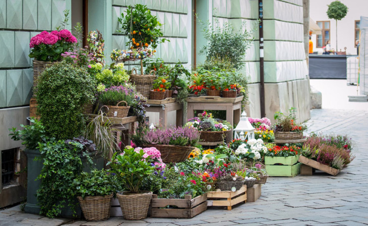Aprire un corner di fiori al supermercato