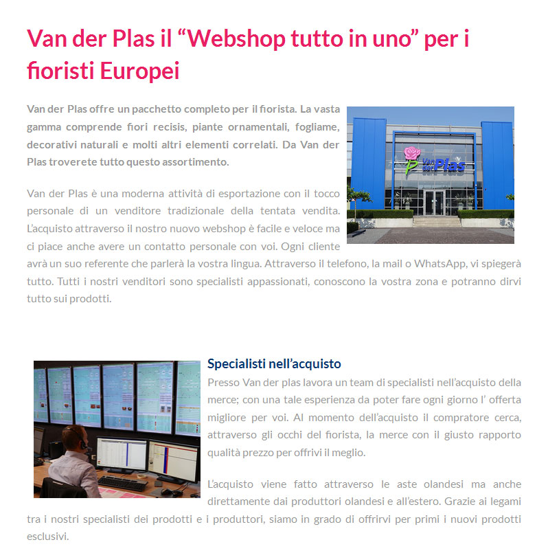 Ingrosso fiori webshop Asta Olanda Van der Plas