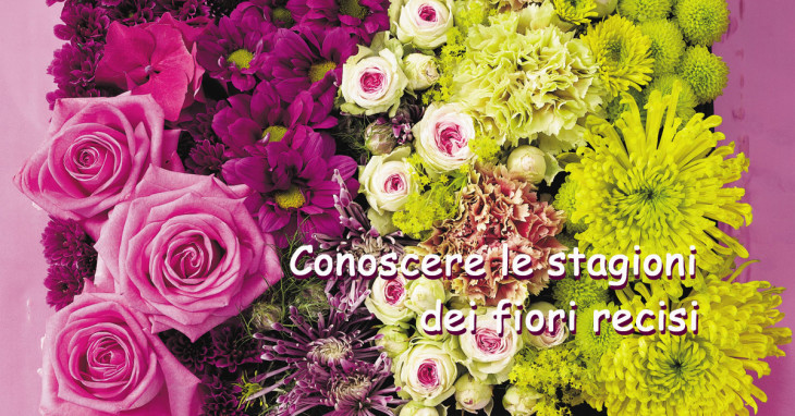 Fiori freschi recisi stagionali e non stagionali