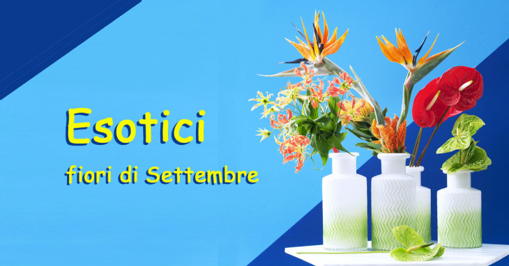 Esotici i fiori del mese di Settembre