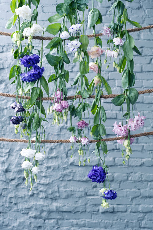 Lisianthus fiore del mese dal 24 ottobre al 13 novembre