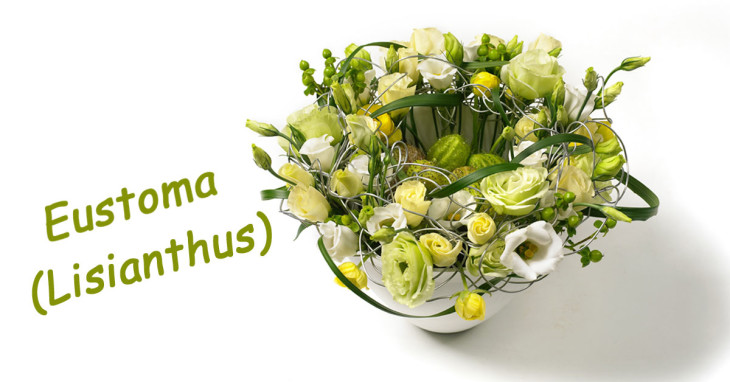 Lisianthus fiore del mese dal 24 ottobre al 13 novembre
