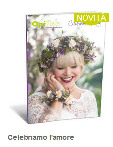 Ingrosso fioristi Online Webshop Opiflor