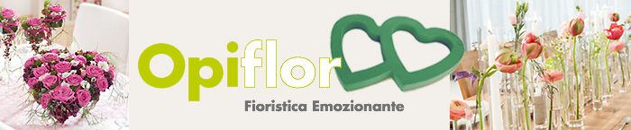 Ingrosso fioristi Online Webshop Opiflor
