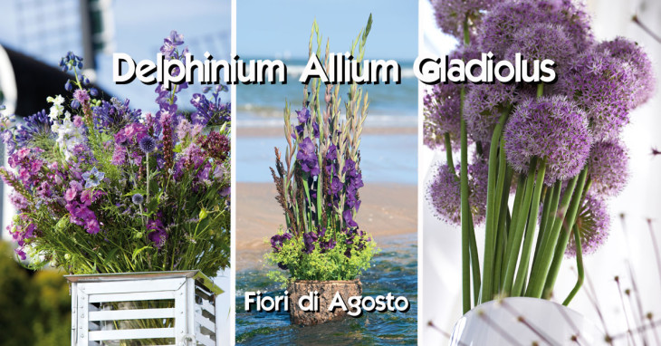 Delphinium Allium Gladiolus fiori di Agosto