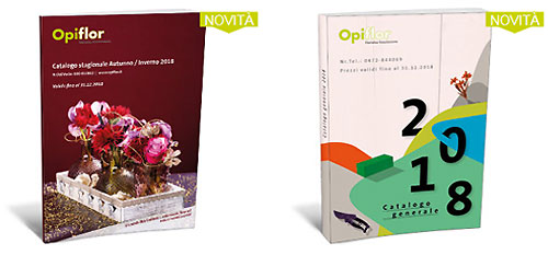 Ingrosso fioristi Online Webshop Opiflor